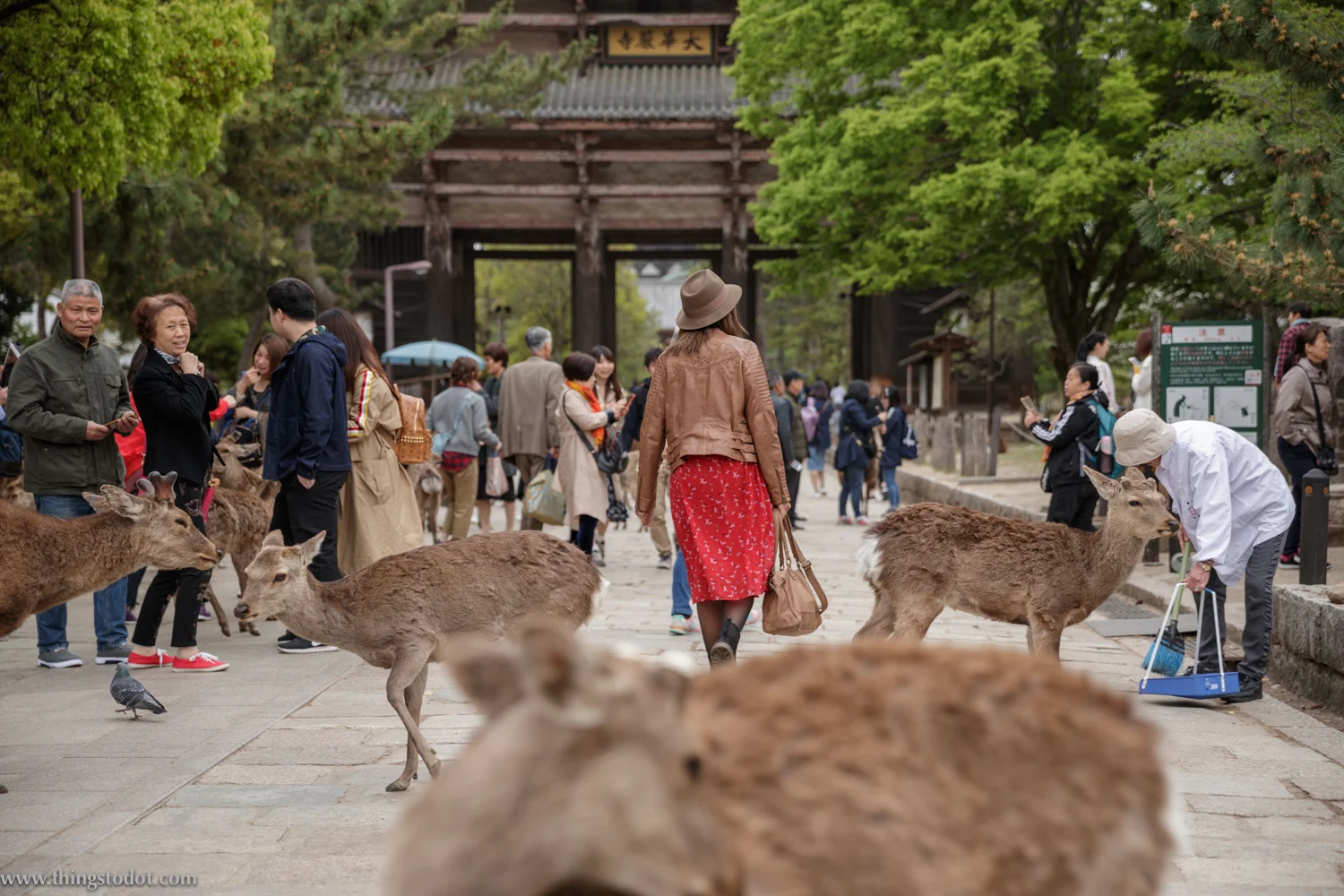Todai-ji, Nara, Japan. Photo: Kosuke Arakawa (www.kosukearakawa.com). Image©www.thingstodot.com.