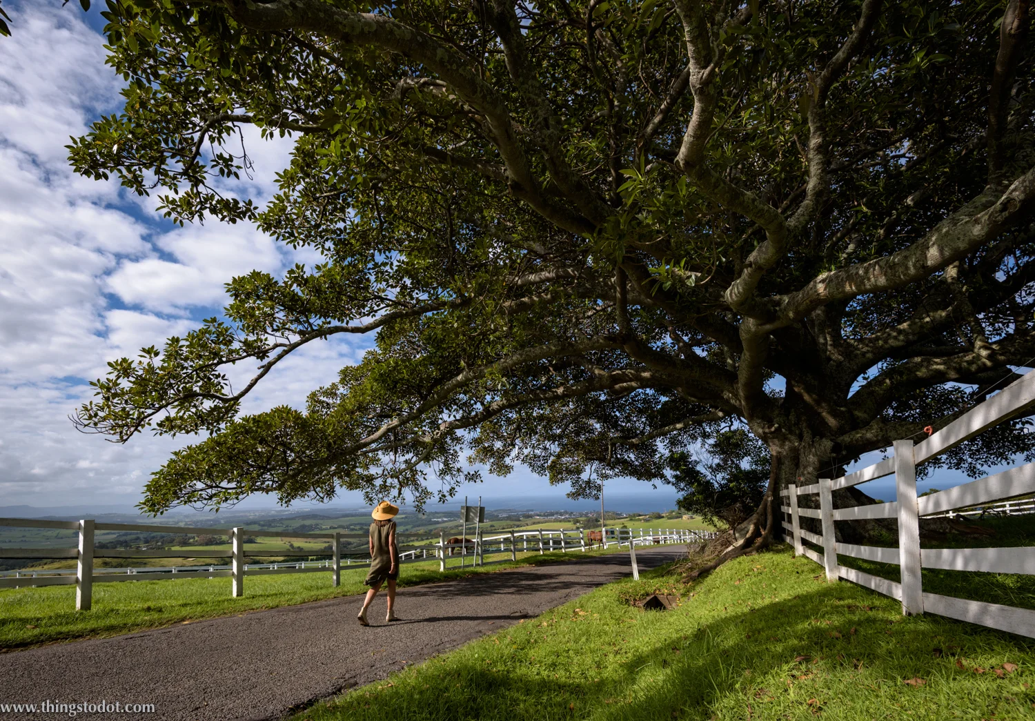 Jamberoo Valley, New South Wales, Australia. Photo: Brad Chilby (http://chilby.com.au). Image©www.thingstodot.com. 