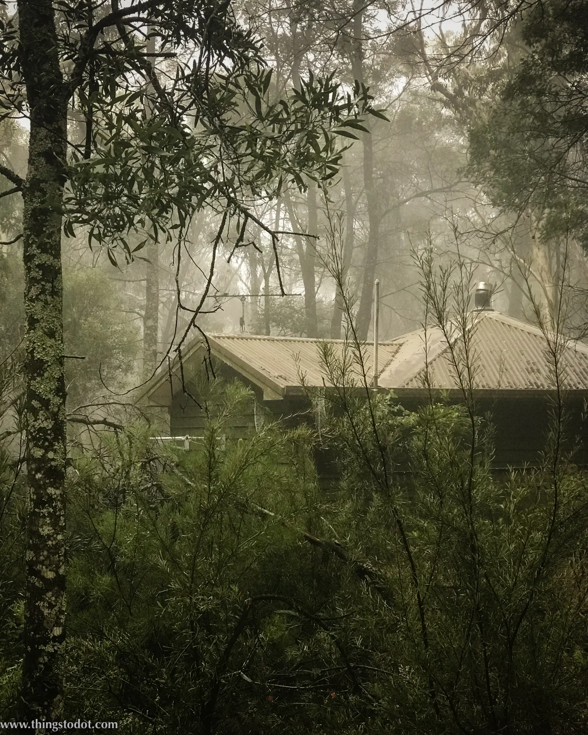 Twin Falls Bush Cottages, Fitzroy Falls, Southern Highlands, NSW, Australia. Photo:Gunjan Virk. Image©www.thingstodot.com.