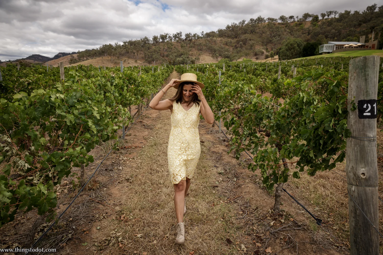 Logan Wines, Mudgee vineyards, Mudgee NSW, Australia. Photo:Noel Dawson, Image©www.thingstodot.com.
