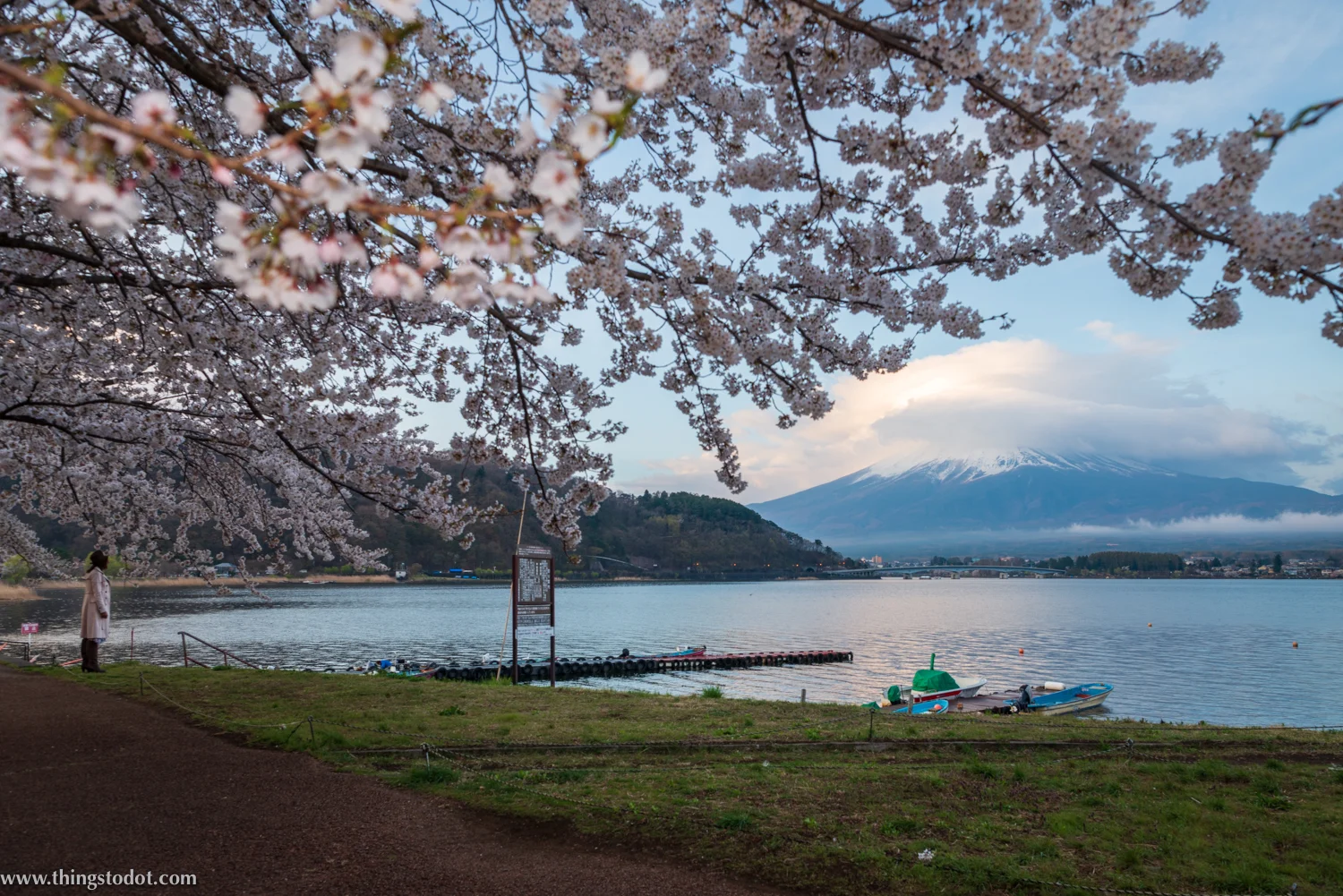 Lake Kawaguchiko, Mount Fuji, cherry blossoms, sakura, Fuji, Japan. Photo: Yuga Kurita. Image©www.thingstodot.com.