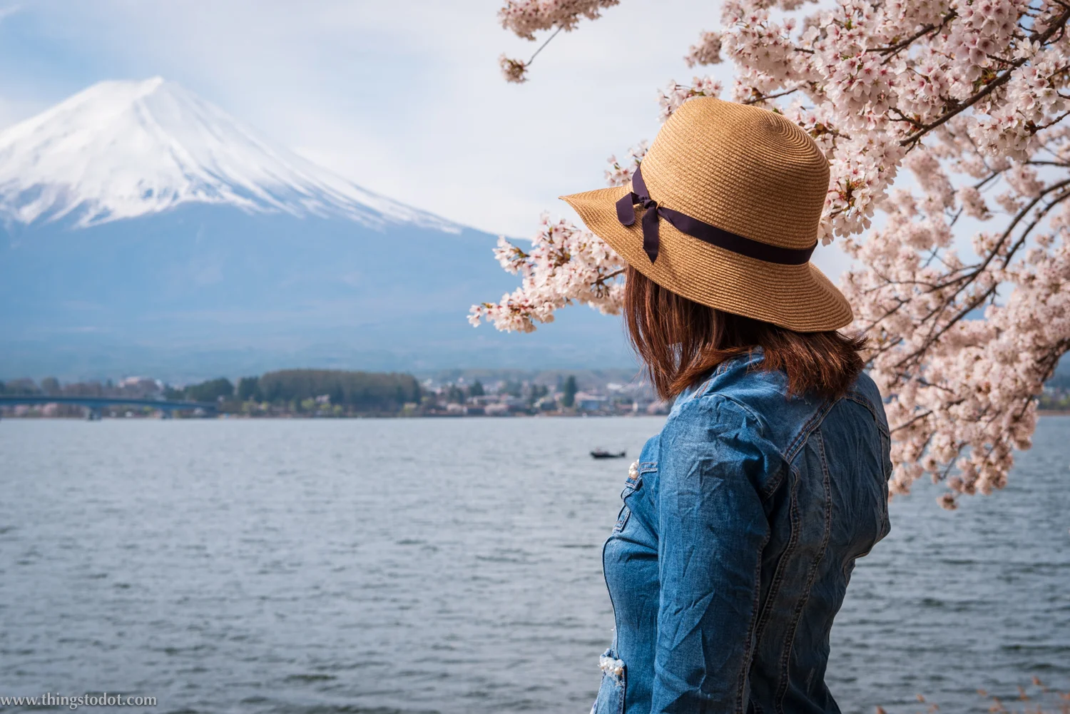 Lake Kawaguchiko, Mount Fuji, cherry blossoms, sakura, Fuji, Japan. Photo: Yuga Kurita. Image©www.thingstodot.com.