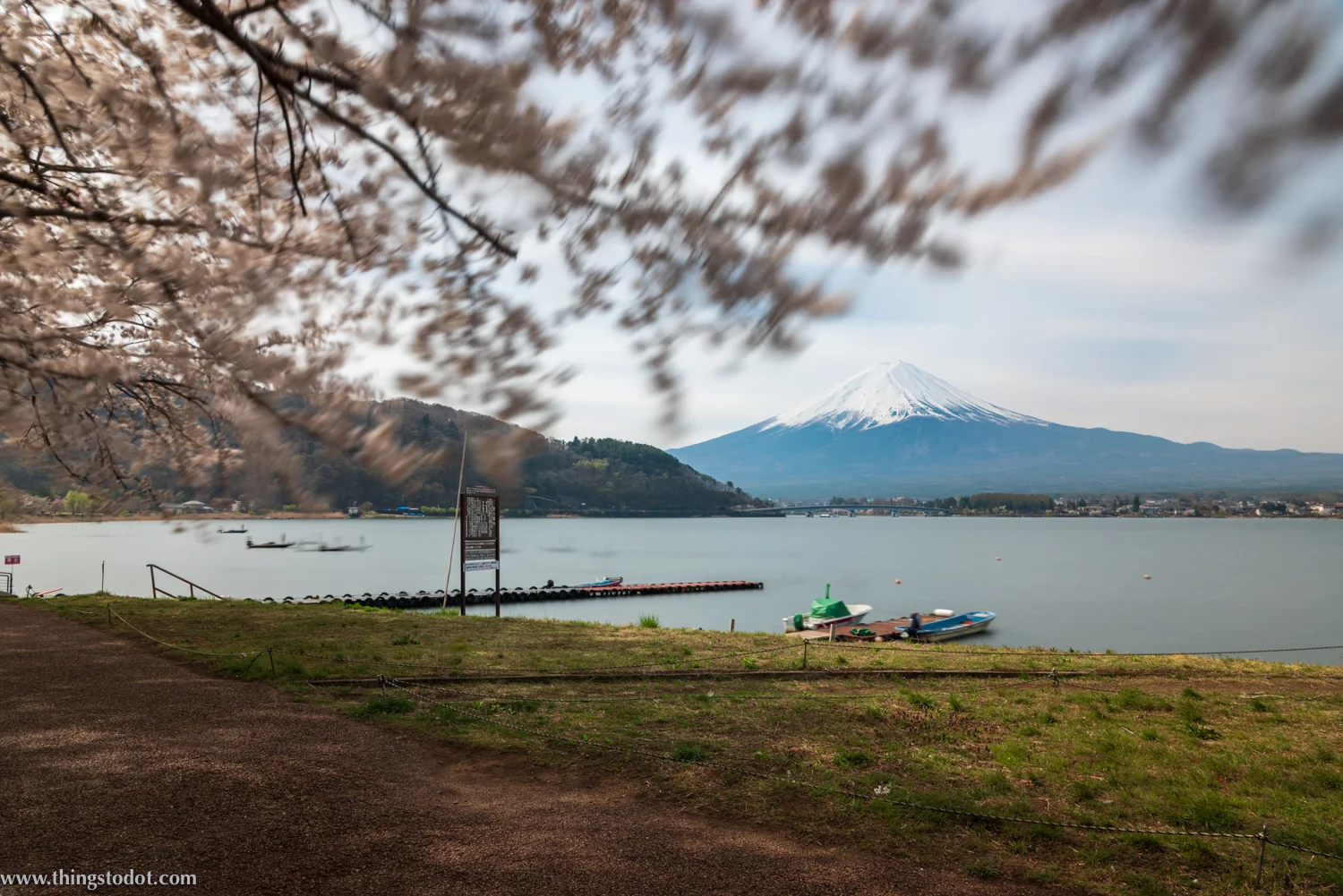 Lake Kawaguchiko, Mount Fuji, cherry blossoms, sakura, Fuji, Japan. Photo: Yuga Kurita. Image©www.thingstodot.com.