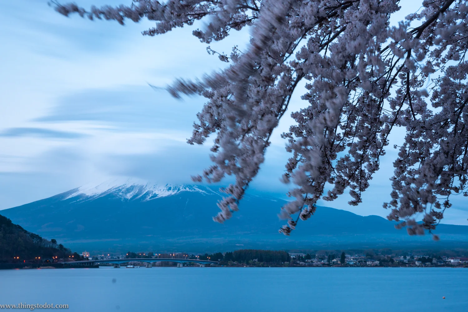Lake Kawaguchiko, Mount Fuji, cherry blossoms, sakura, Fuji, Japan. Photo: Yuga Kurita. Image©www.thingstodot.com.