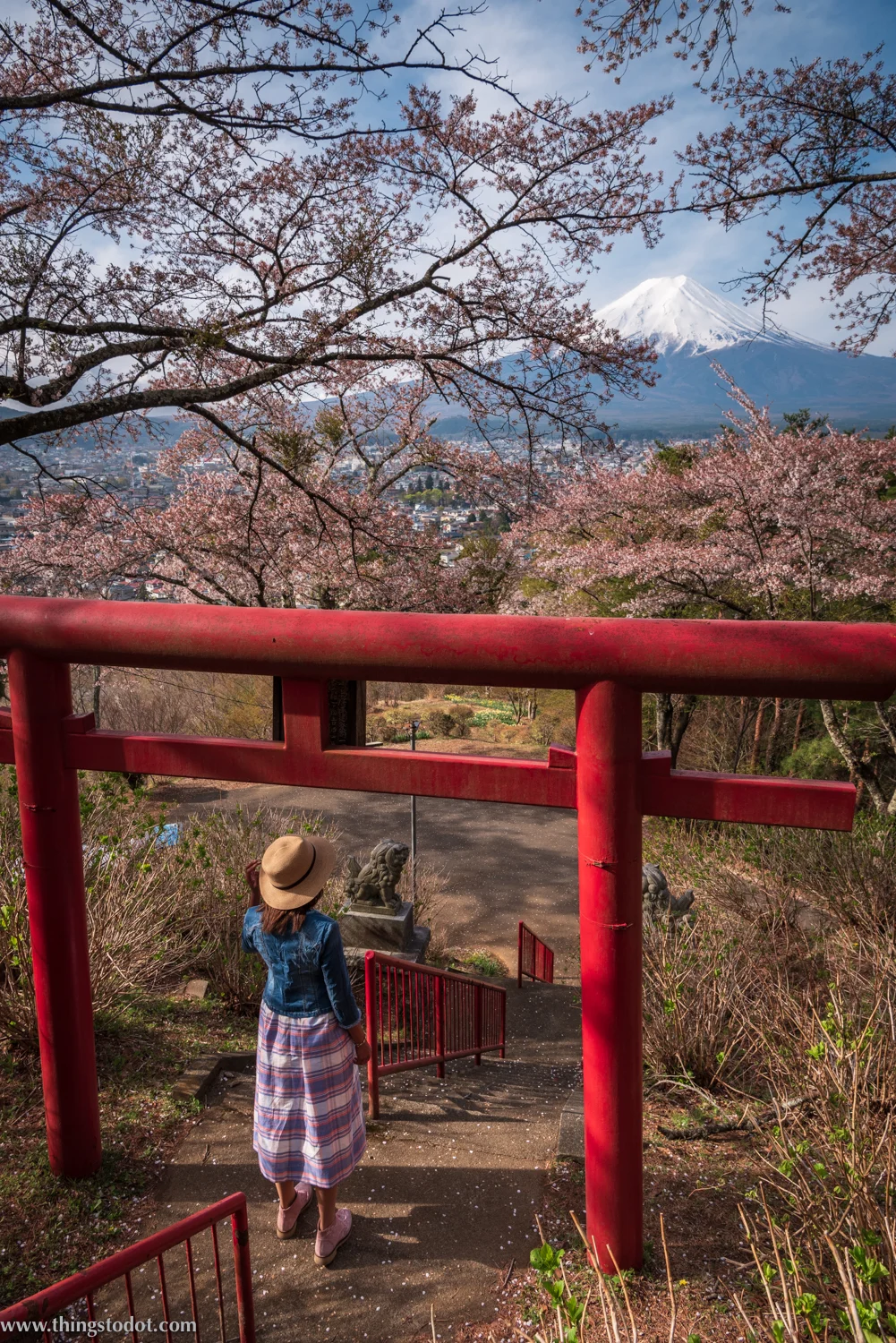 Cherry Blossoms, Sakura, Fuji, Japan. Image©www.thingstodot.com.