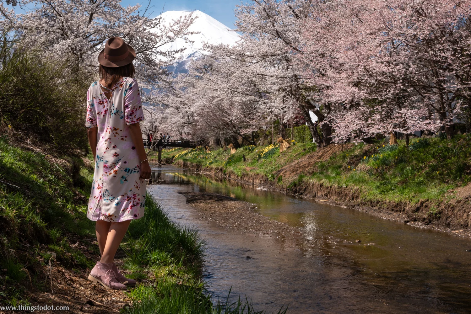 Sakura, cherry blossoms, Mount Fuji, Japan, Shinnasho River, near Oshino Hakkai. Photo: Yuga Kurita. Image©www.thingstodot.com.