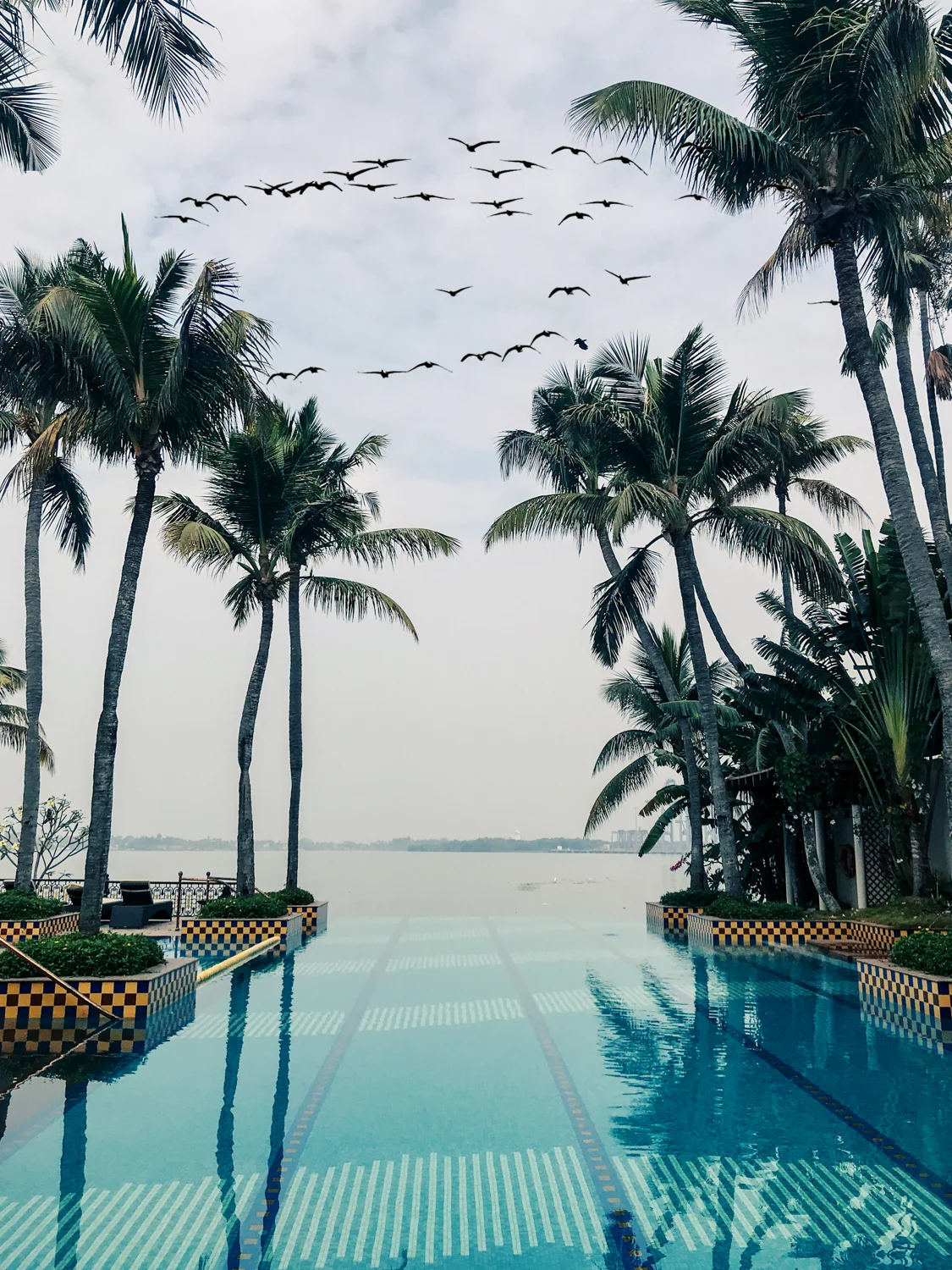 Taj Malabar Resort & Spa, Kochi, Kerala, infinity pool. Photo©www.thingstodot.com.