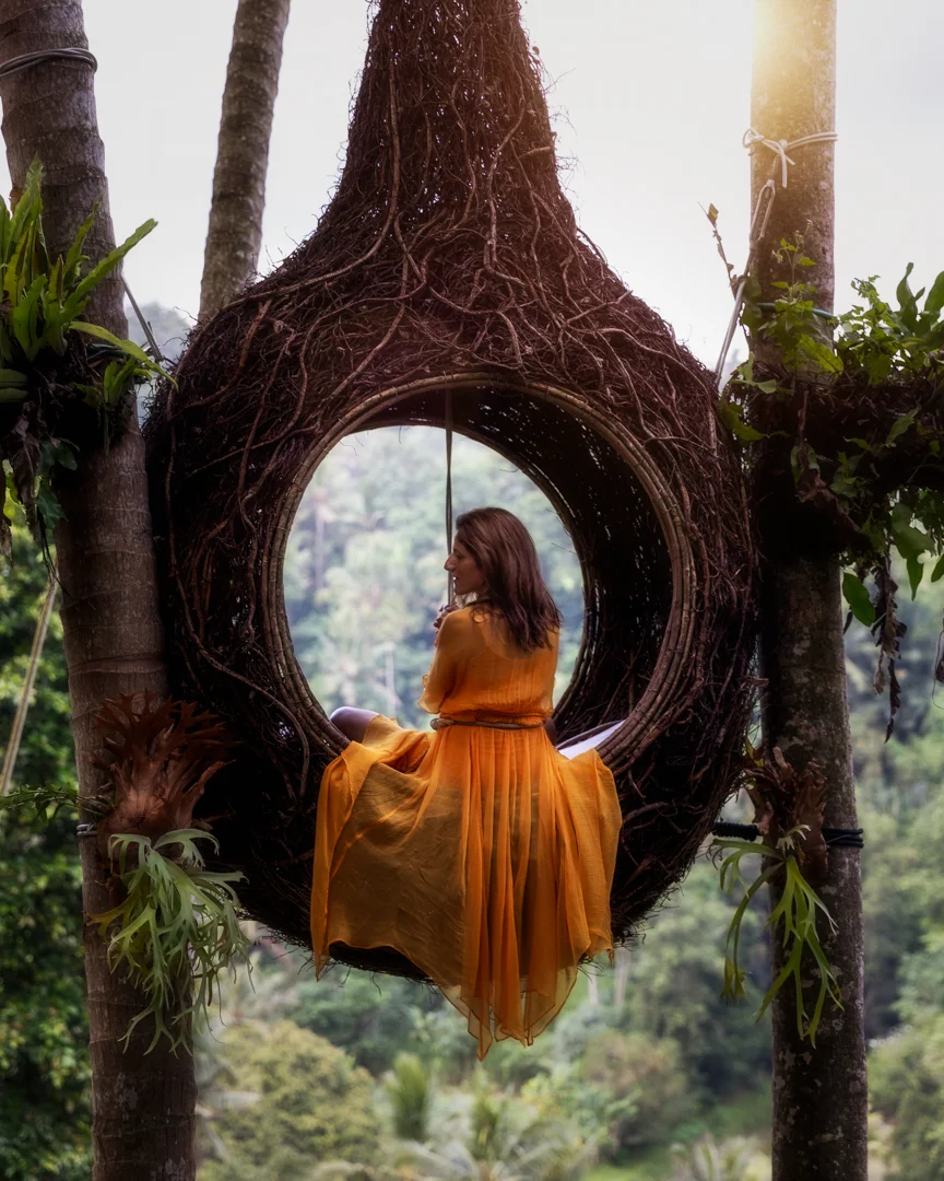 Bird’s nest, Bali, Indonesia. Photo: Adi Sumerta.