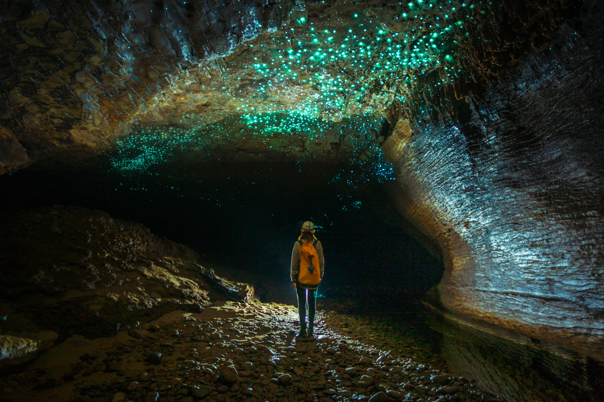 Glowworm cave, Metro Cave/Te Ananui Cave, New Zealand South Island (West Coast). Photo of Gunjan Virk by Neil Silverwood. Photo©www.thingstodot.com