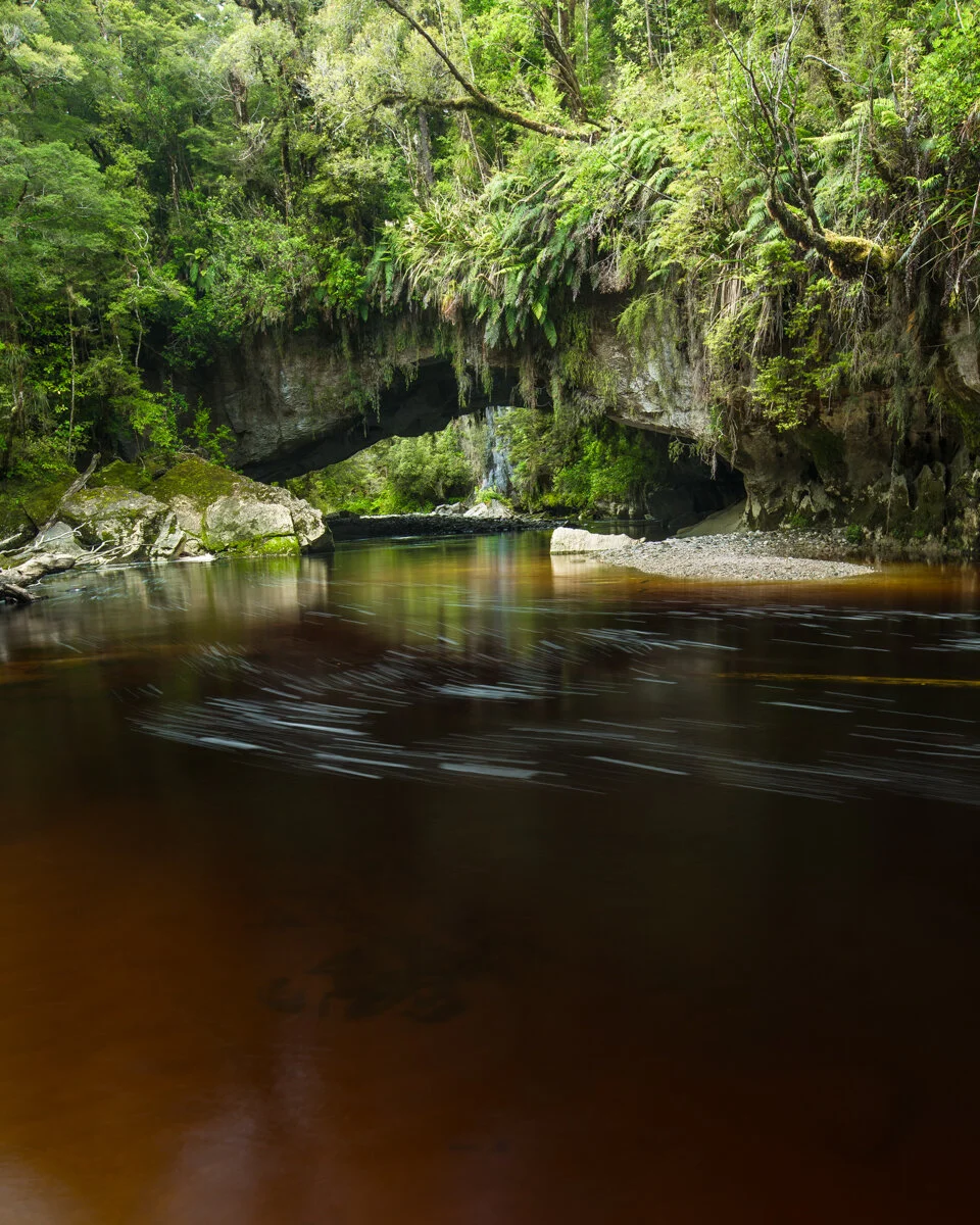 Oparara Basin, New Zealand South Island West Coast. Photo: Neil Silverwood. Photo©Neil Silverwood.