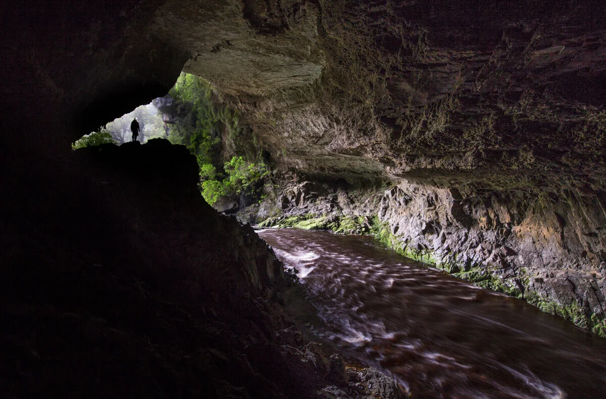 Oparara Basin, New Zealand South Island West Coast. Photo: Neil Silverwood. Photo©Neil Silverwood.