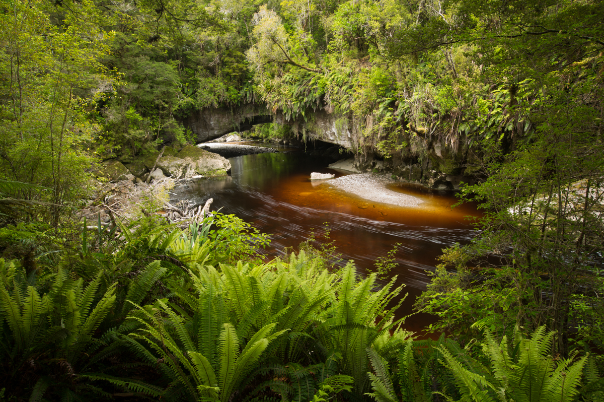 Oparara Basin, New Zealand South Island West Coast. Photo: Neil Silverwood. Photo©Neil Silverwood.