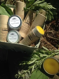 Mugwort & Plantain Salve.jpeg
