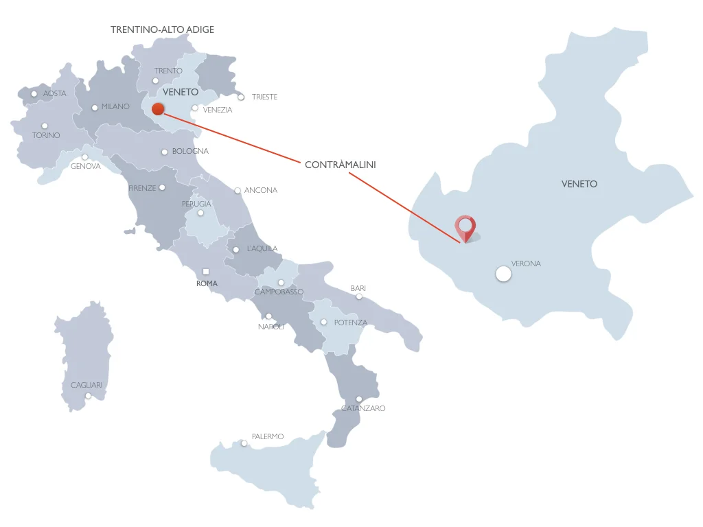 Mappa Italia.001.jpeg