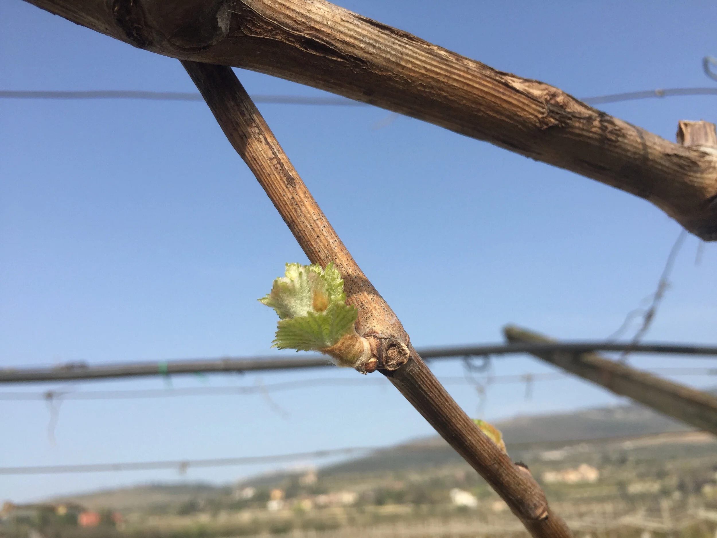 Con il fuoco e con il ghiaccio