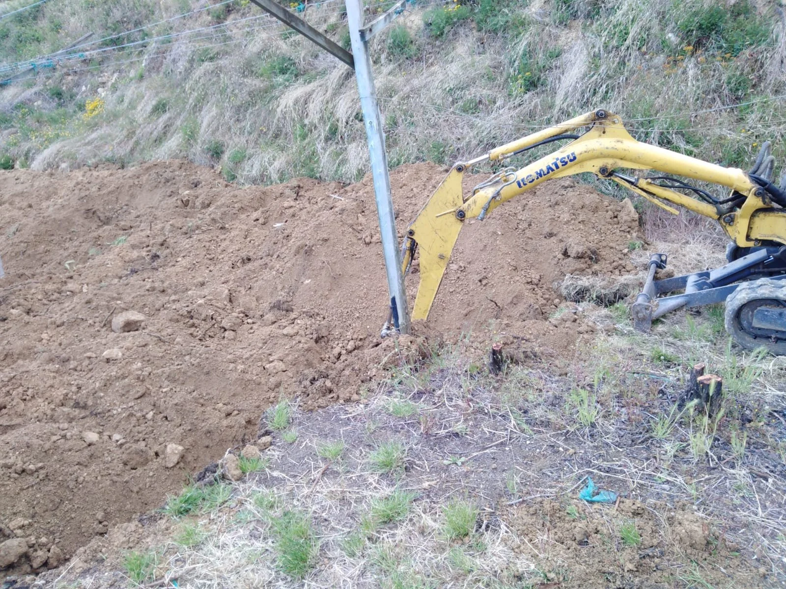 Il vigneto si rinnova