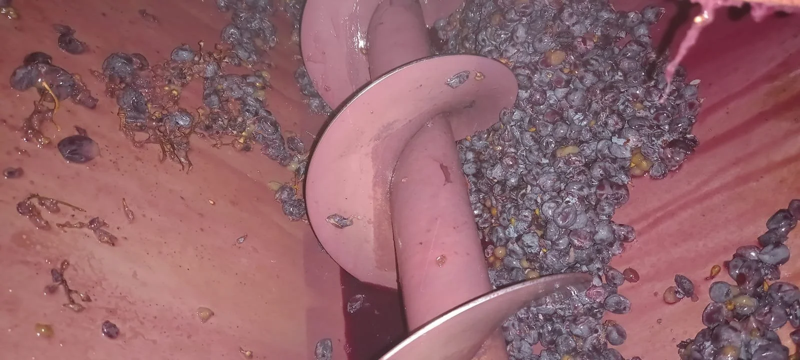 Prime pigiature