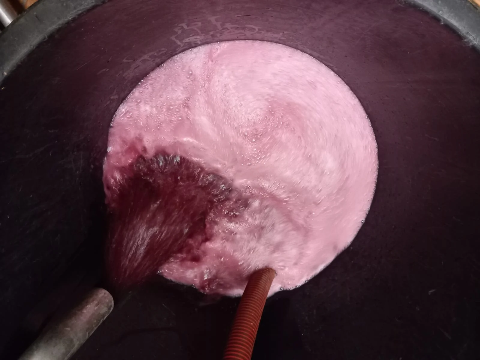 Quando il mosto diventa vino?