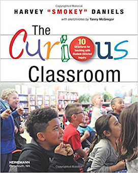 curious classroom.png