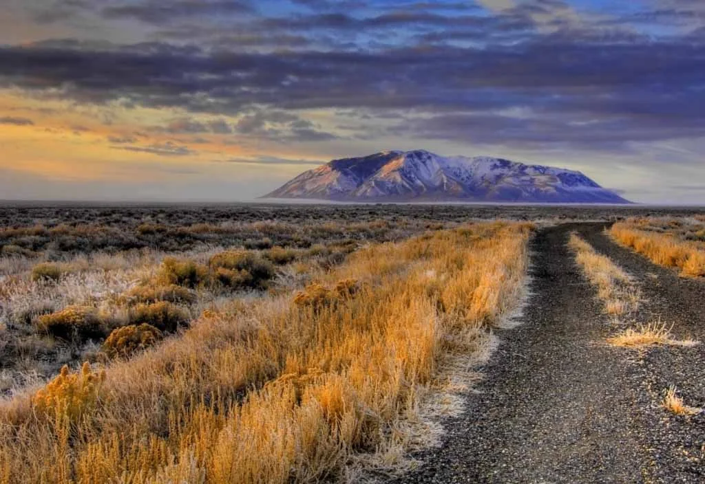 THE WHOLE OF THE MOON