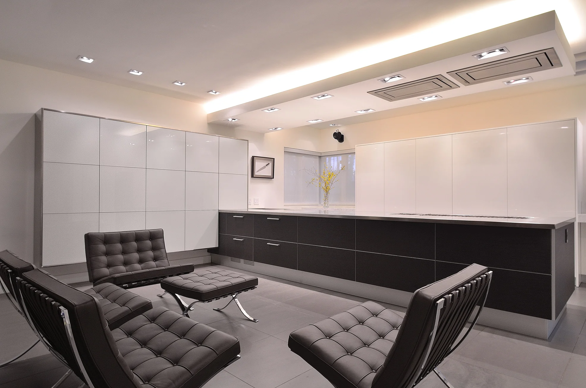 Pedini_Kitchen_DC_1.jpg
