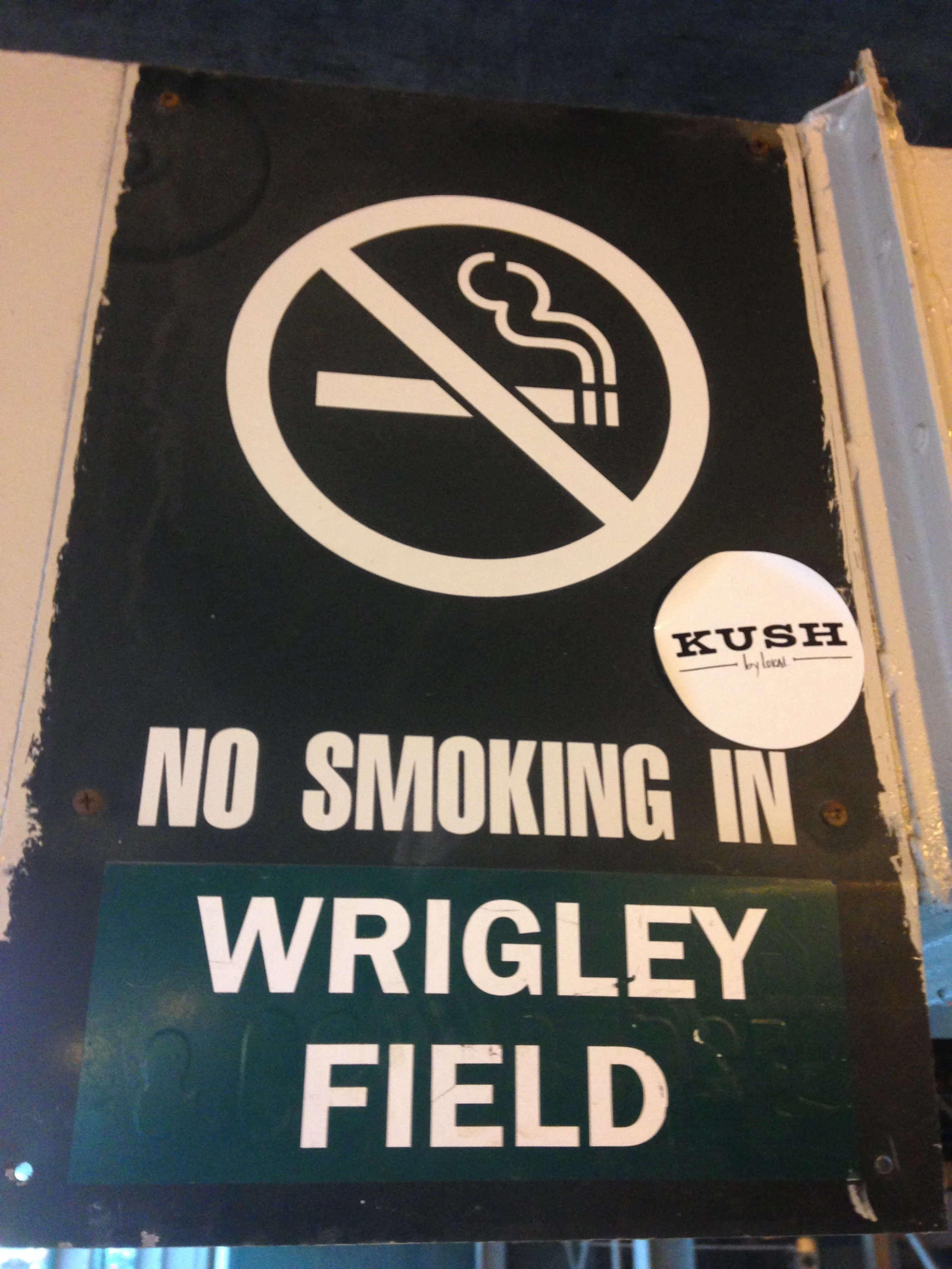 Never Knew You Needed