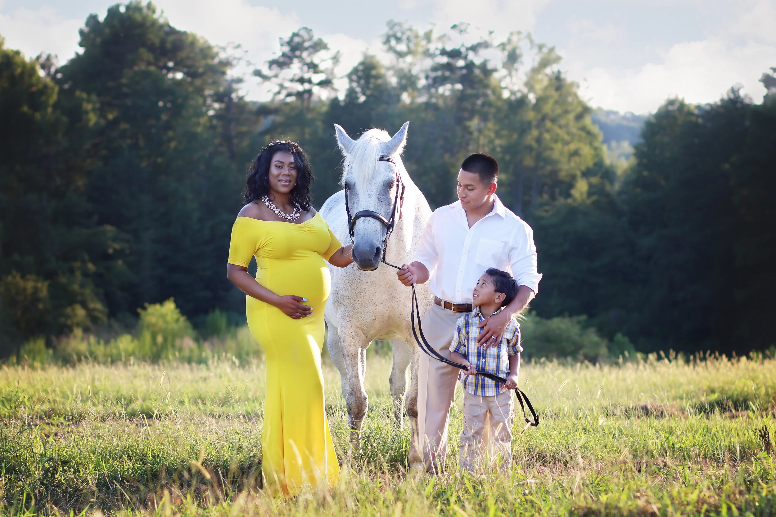 Equine Maternity Session