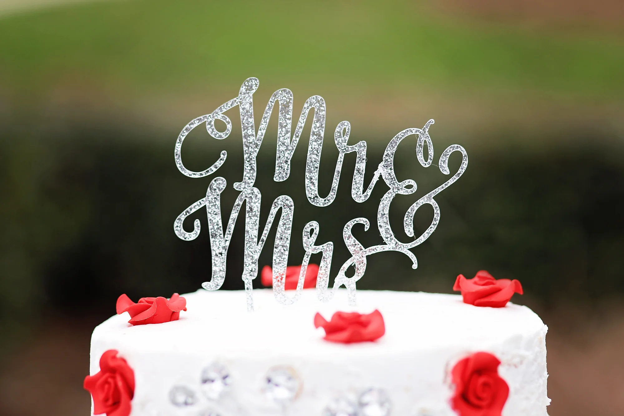 Charlotte Wedding Photographer:  Valentine's Day Wedding in Independence Park