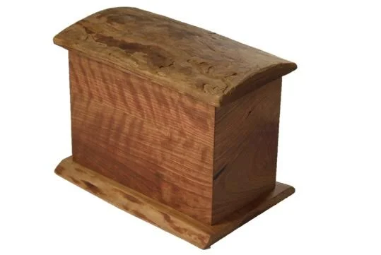 The Wild Collection with Rounded Top