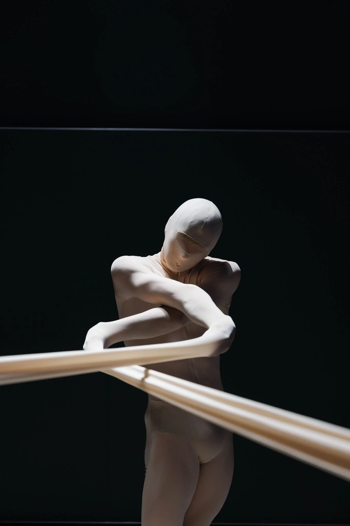 Friedemann Vogel joins the University of Tübingen Collaborative Research Centre to teach "Other Aesthetics" as Associate Member
