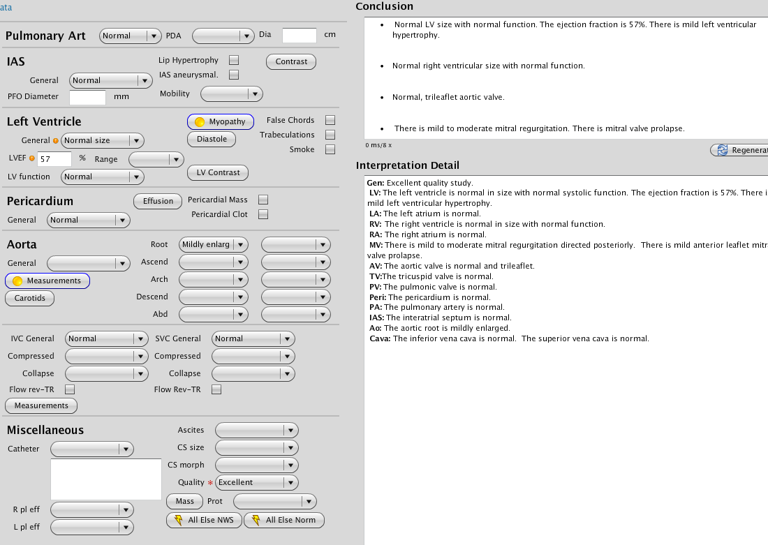 Build the report as you enter data