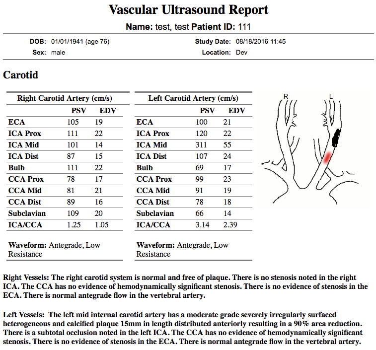 The Vascular Report