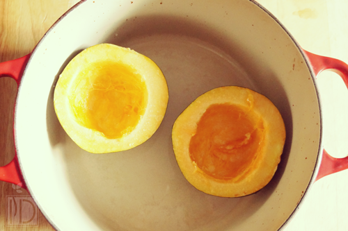 acorn squash embed4