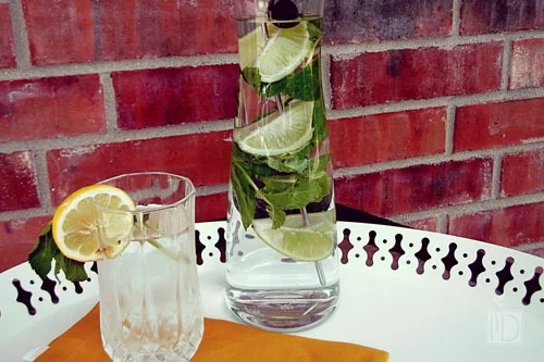 Mojito Infused Water