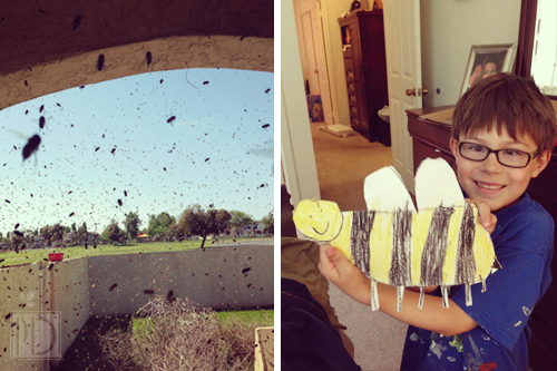 Murphy's Law of Deployment.  Something will go wrong as soon as your spouse leaves.  The bee swarm inspired many art projects!
