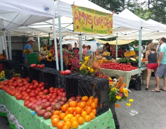 market stand.jpg