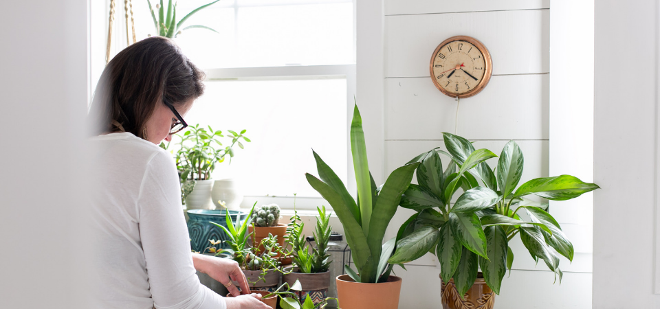 “For me, cultivating a houseplant haven is my go-to for designing spaces, but it’s also my favorite form of self-care.” ~Laura Vien