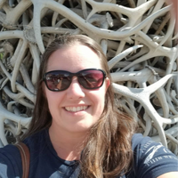 Untitled design (18).png