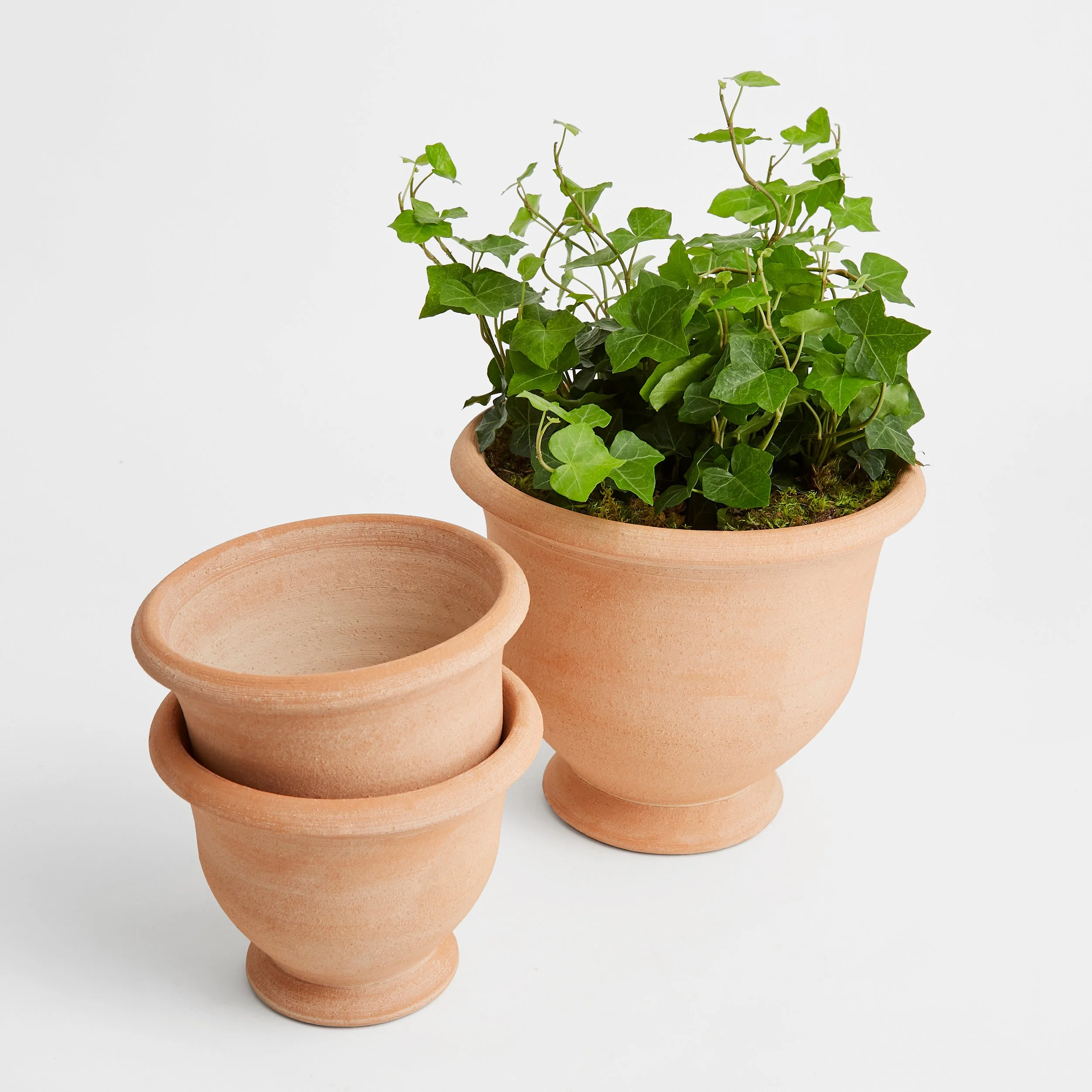 Botanical-Collections-Potier-Planters-4-Set-of-Two-Natural_Final_4.jpg