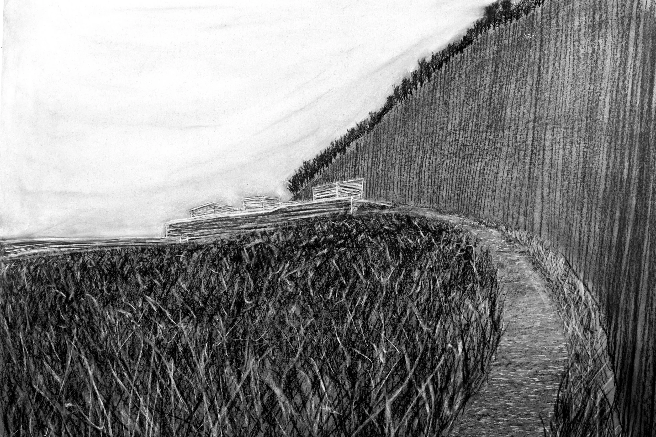bathhaus from the side 2 charcoal.jpg