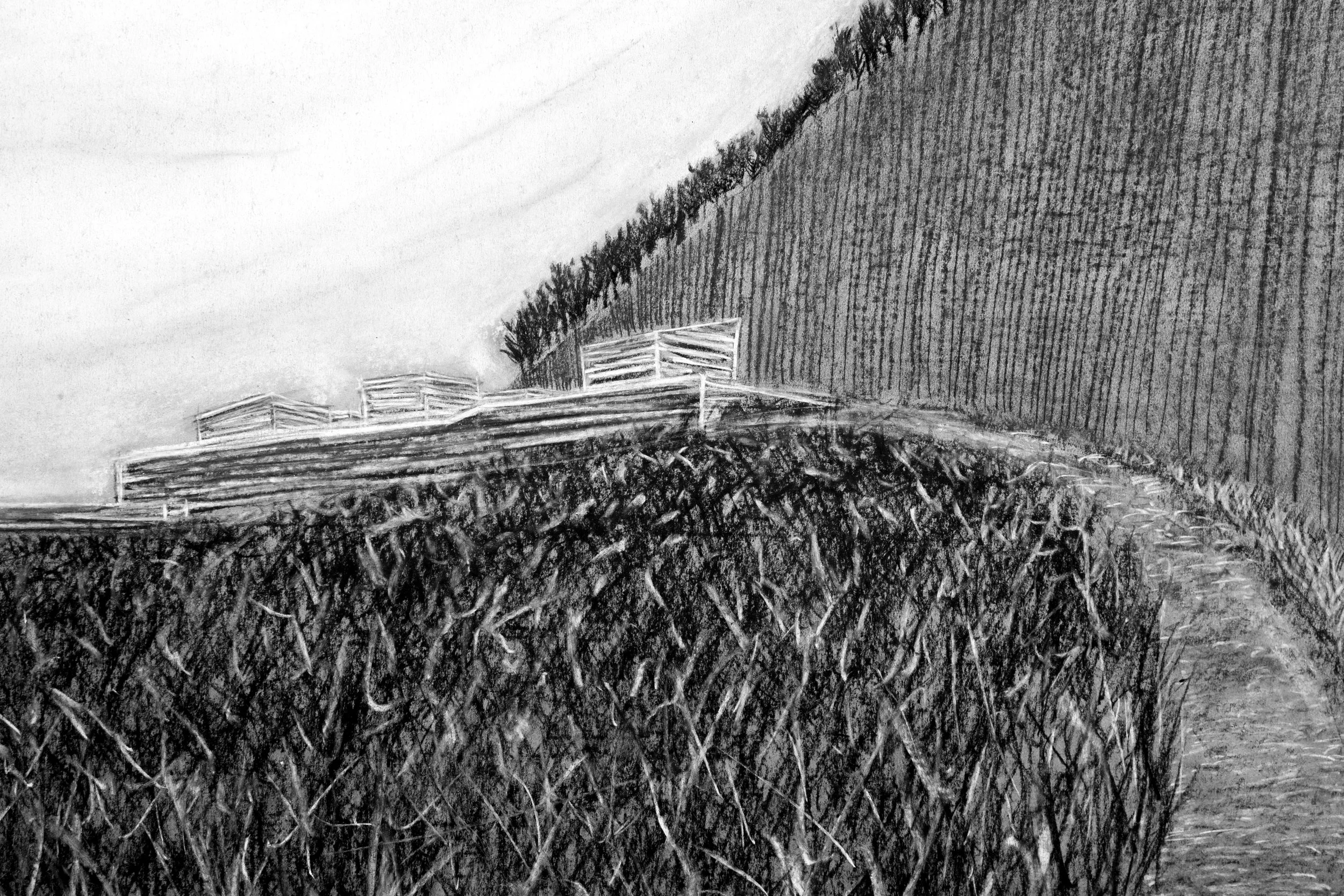 bathhaus from the side 3 charcoal.jpg