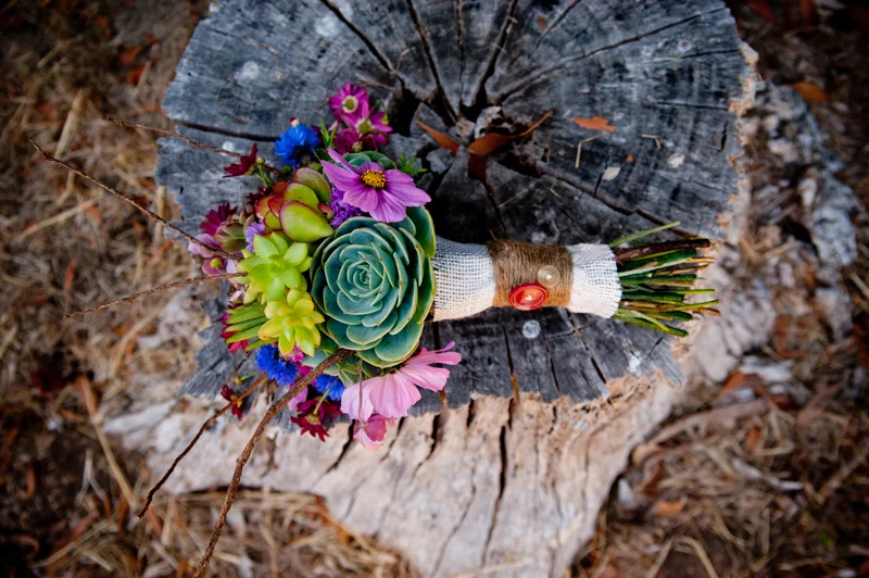 Wedding at Mar Vista Cottages