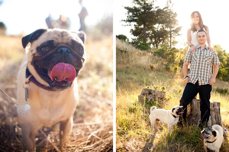 Bobbie and Ineca Engagement Session, Oakland, CA - Bay Area Wedding Photographer
