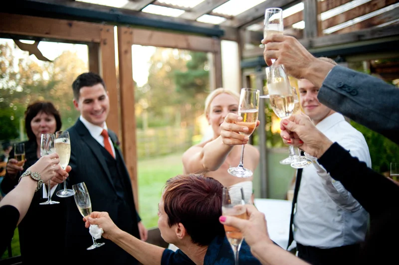 Bride and Groom exchange toasts with wedding guests