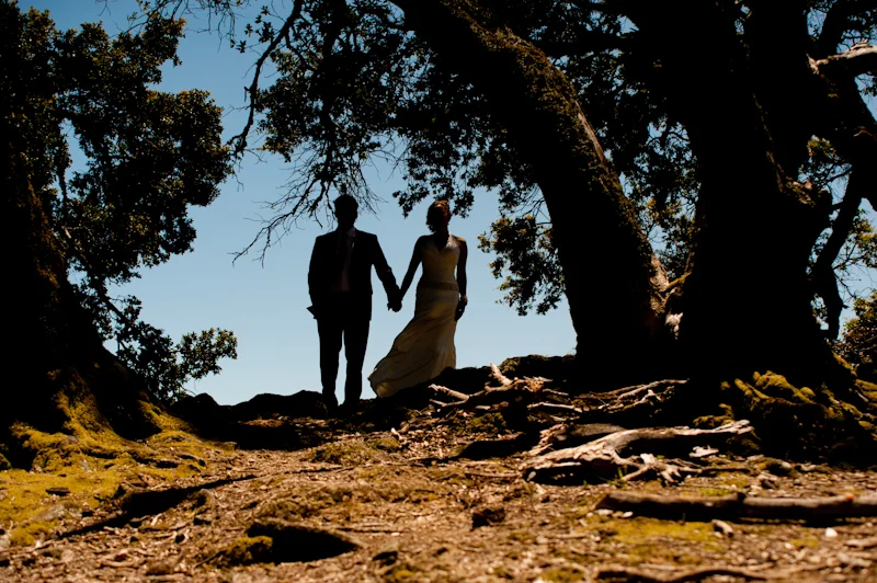 Silhouette of bride and groom holding hands on Mt. Tamalpais