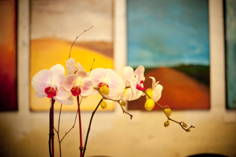 Orchid detail