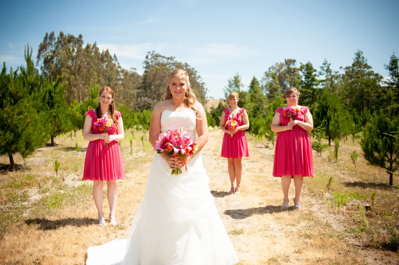 Bride and bridesmaids portrait in field