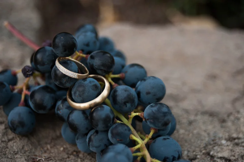 Gold wedding rings on wine grapes in St. Helena, CA