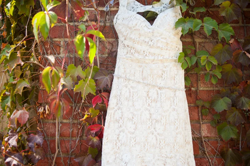 Detail of lace wedding dress on vine