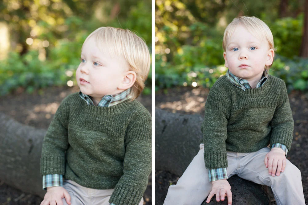 Portrait of young boy sitting on tree in Piedmont Park